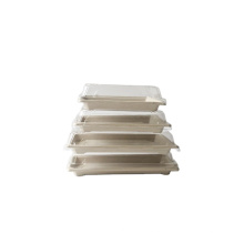 Disposable sugarcane bagasse pulp sushi tray with lid